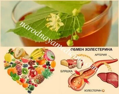 Холестерин лучшие народные средства