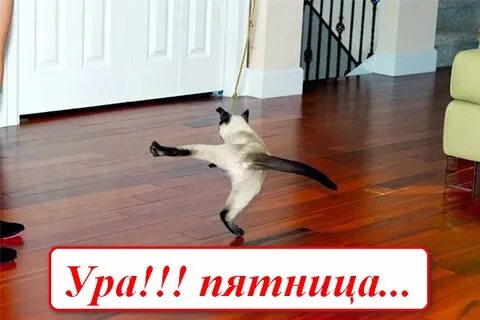Включи поднять