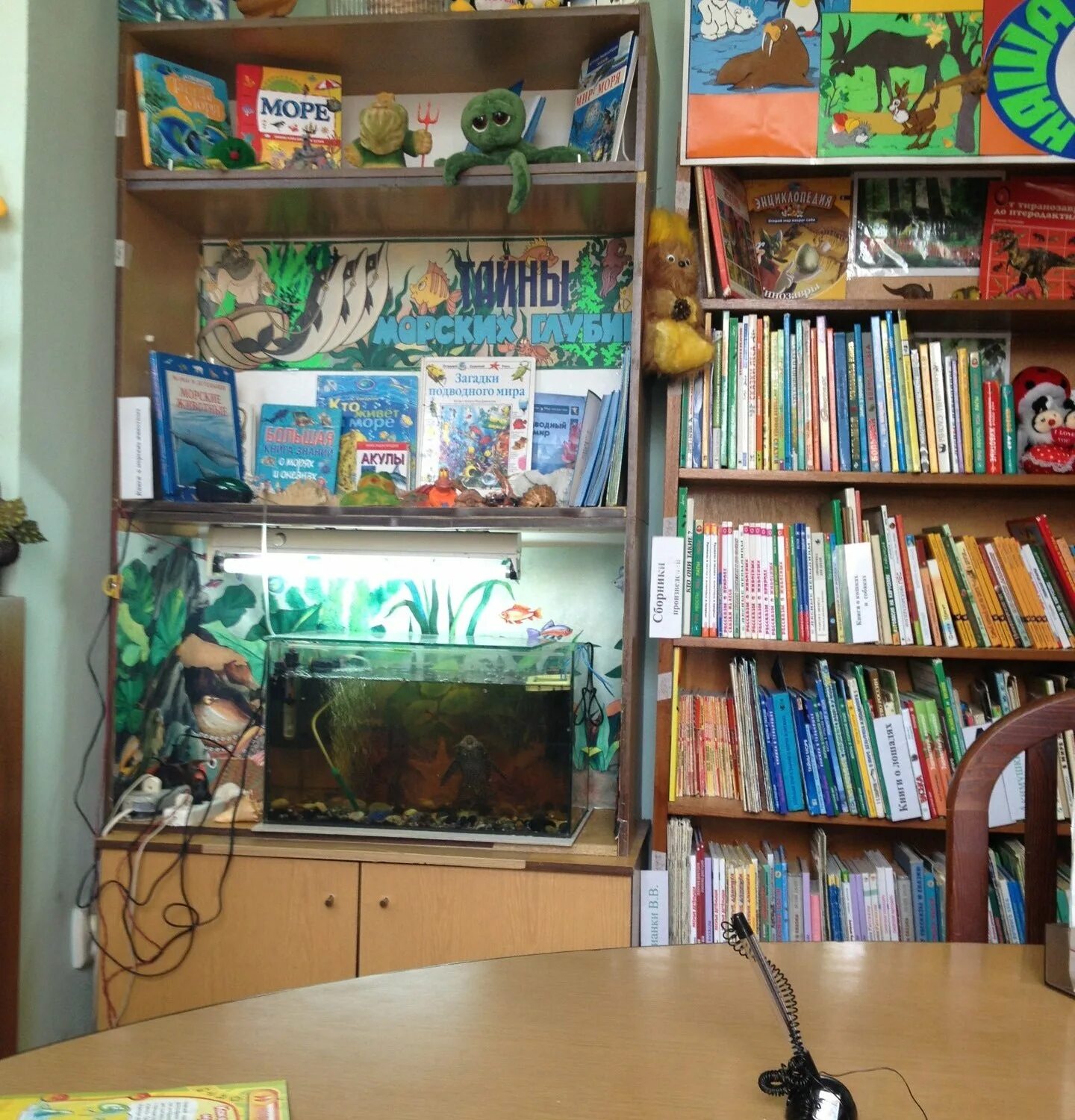Паб на ветеранов 69. Library bar санкт-петербург ветеранов. Бар либрари ветеранов. Бар библиотека. Бар либрари ветеранов.