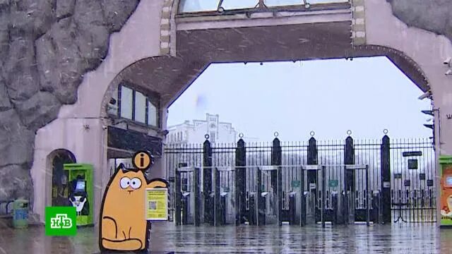 Зоопарк открыт или нет. Московский зоопарк 2025. план московского зоопарка 2025.