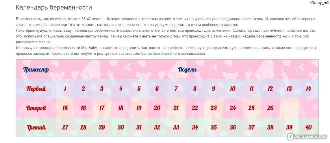График беременности по неделям. Календарь беременности. календарь беременности пол. беременность календарь беременности. календарь для беременности календарь для беременности.