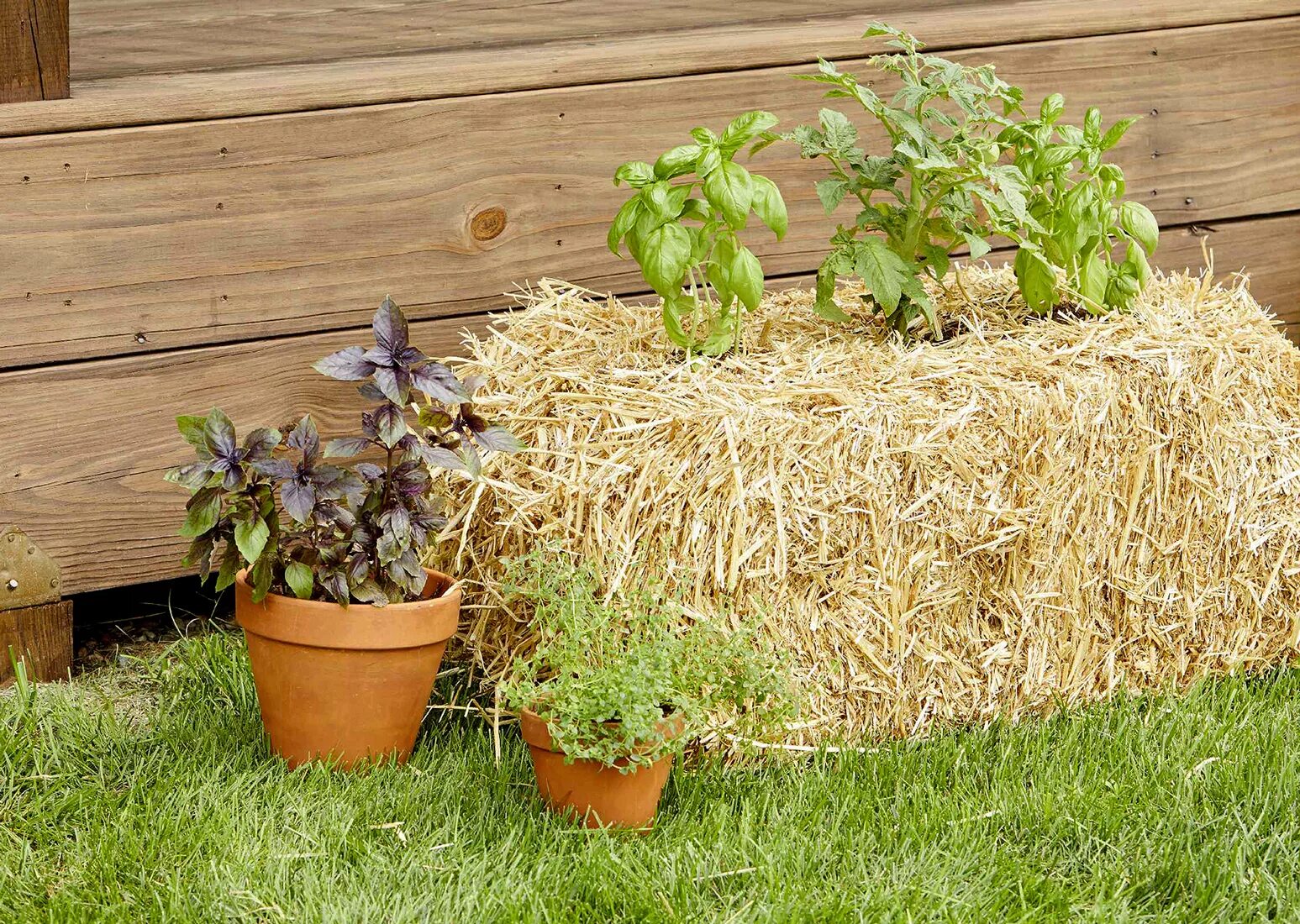 Солом растут. Straw bale planter. грядки на тюках соломы. соломенный огород. солома в огороде.