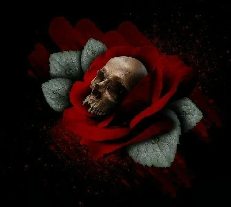 Умирающие розы песня. Умирающие розы. Череп и цветы.