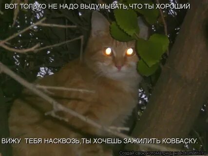Это не то что вы думали
