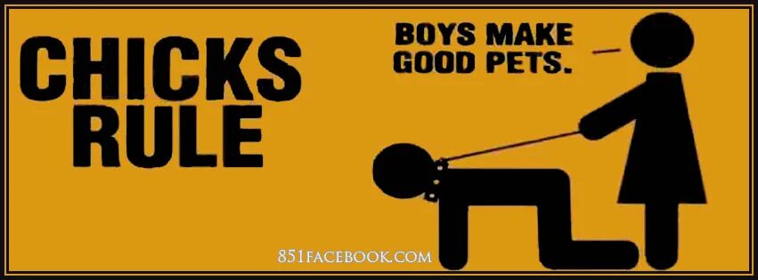 Правило 85. Chicks Rule boys make good Pets. Плакат chicks Rule boys make good Pets. Boys make good Pets картинка. You have made a good point