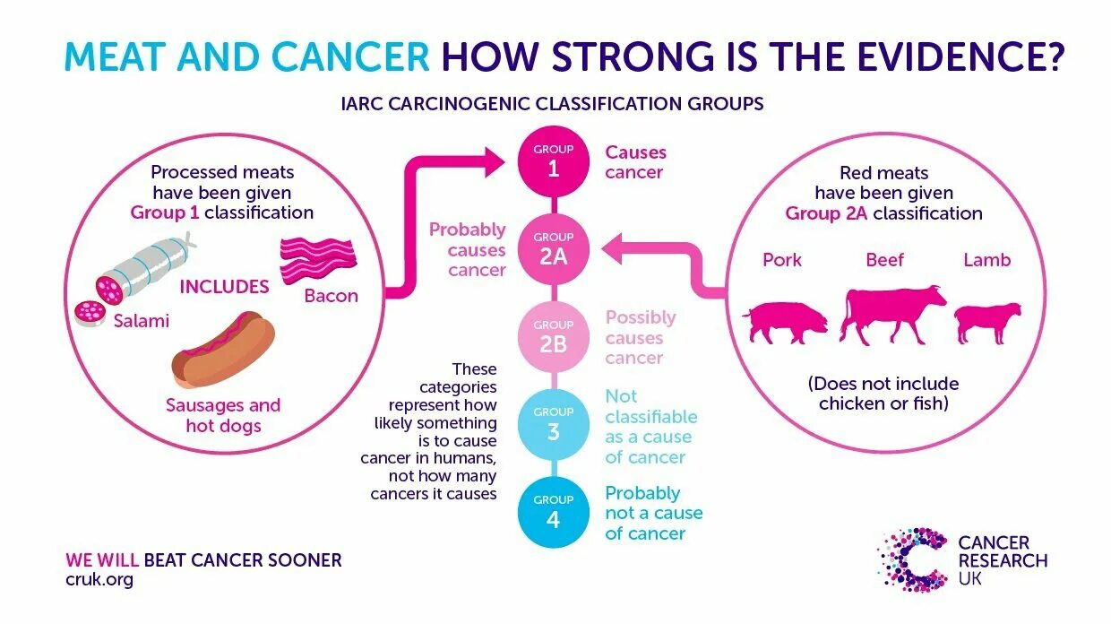 Causes of Cancer. Processed meat. Antuanett Канцер.