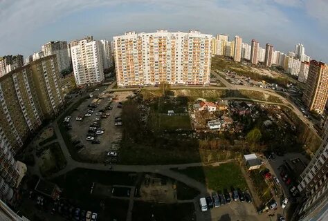 Позняки отзывы