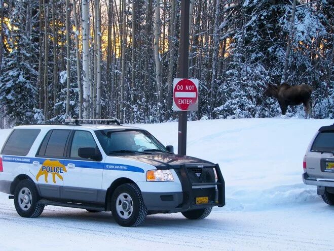Машина аляска. Полиция штата Аляска. Полицейская машина полиции Аляски. Полицейская машина зимой. Американские полицейские машины зимой.