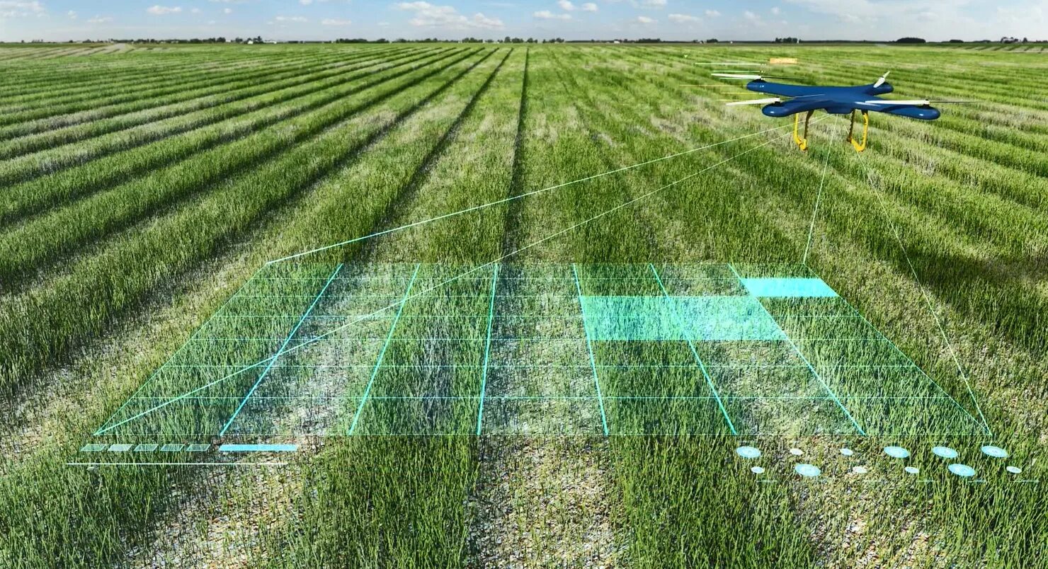 Искусственный интеллект в сельском хозяйстве. Трансформация сознания. Интеллект на поле. Квантовый мозг. Интеллект на поле.