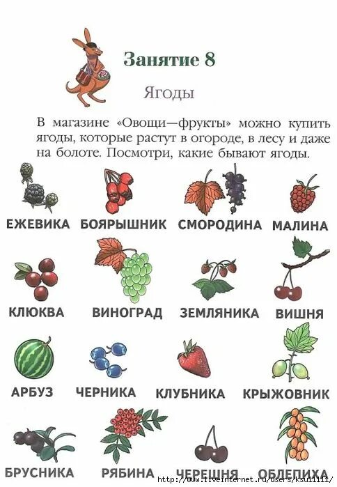 Ягоды для детей. Ягоды ребенку 1 года. Садовые ягоды картинки для детей. Огород ягоды дети. Клубника для детей.