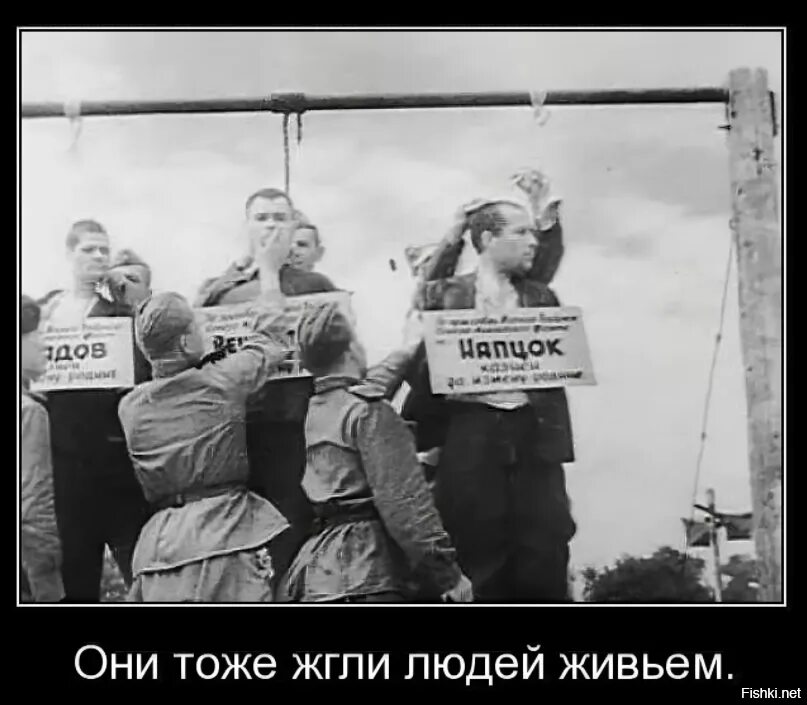 Фото предателей родины. Казнь фашистов в краснодаре в 1943. казнь предателей в краснодаре 1943. киев 1943 казнь предателей. казнь полицаев в краснодаре 18 июля 1943.