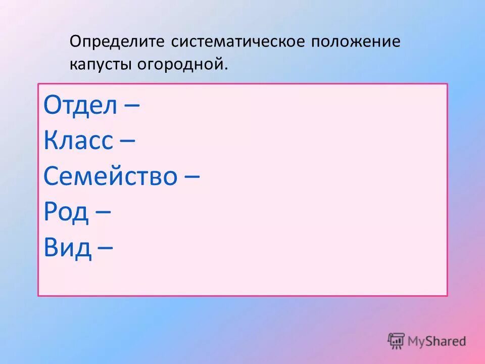 Систематика растений капуста. Систематическое положение капусты огородной. Систематическое положение капусты огородной. Классификация капусты огородной. Систематика капусты белокочанной.
