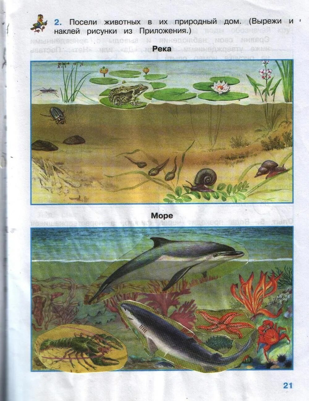 Окружающий 21. Окружающий мир 3 класс рабочая тетрадь 1 часть Плешаков мир животных. Окружающий мир 3 класс рабочая стр 21. Мир животных окружающий мир 3 класс рабочая тетрадь. Окружающих мир Плешаков 3 класс стр 21.