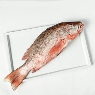 Snapper перевод