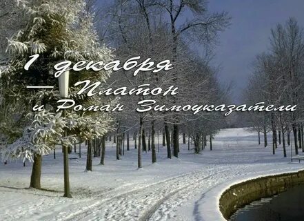 Первое декабря праздник