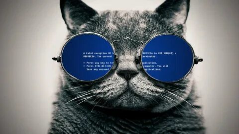 Glass cat