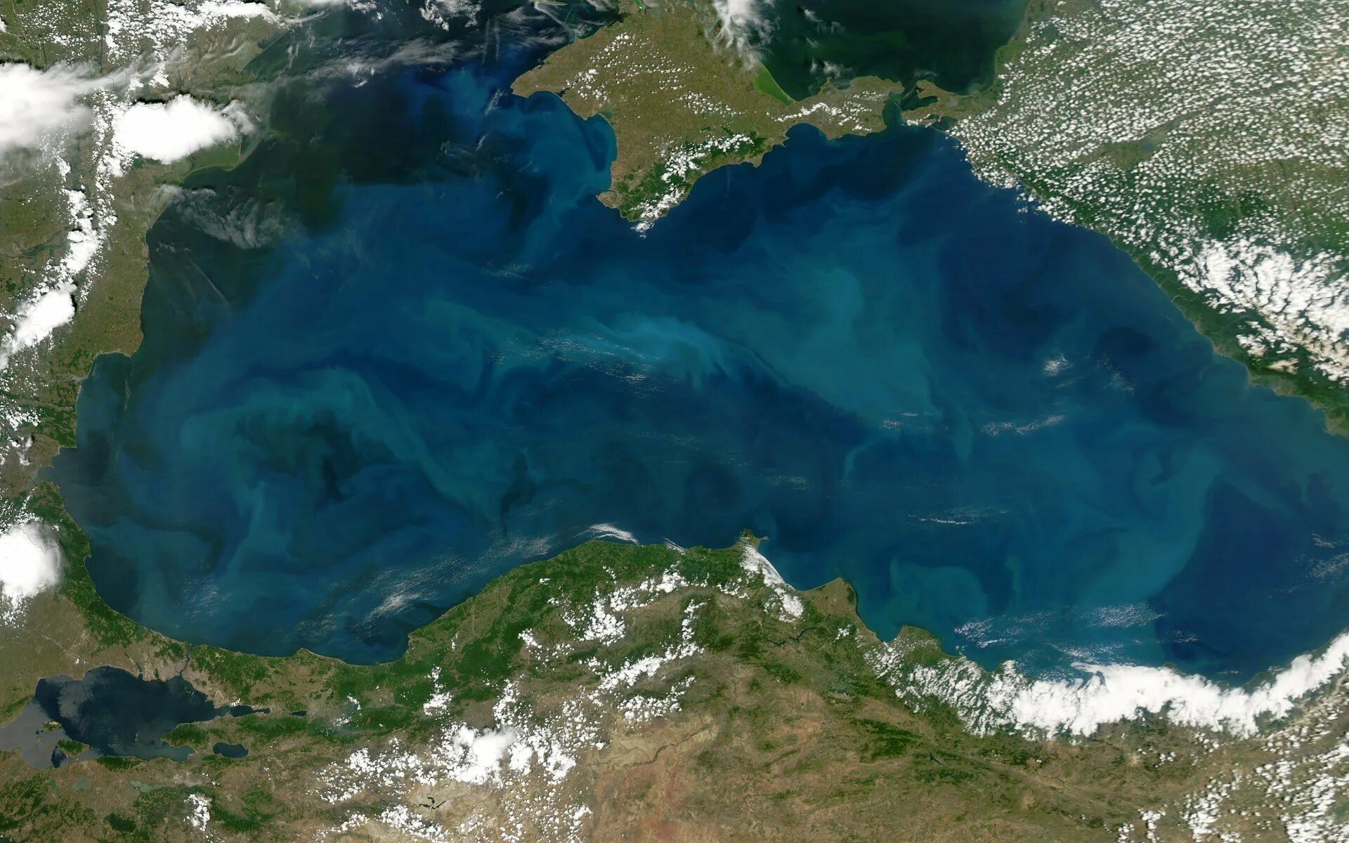 Черное море расположено впадине. Рельеф дна черного моря без воды. черное море космоснимок. черное море вид сверху. впадина черного моря.