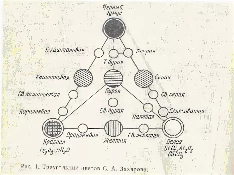 Определите цвет почвы. Треугольник почвенных окрасок захарова. Треугольник почвенных окрасок по с. Треугольник цветов почв по захарову. А захарову.