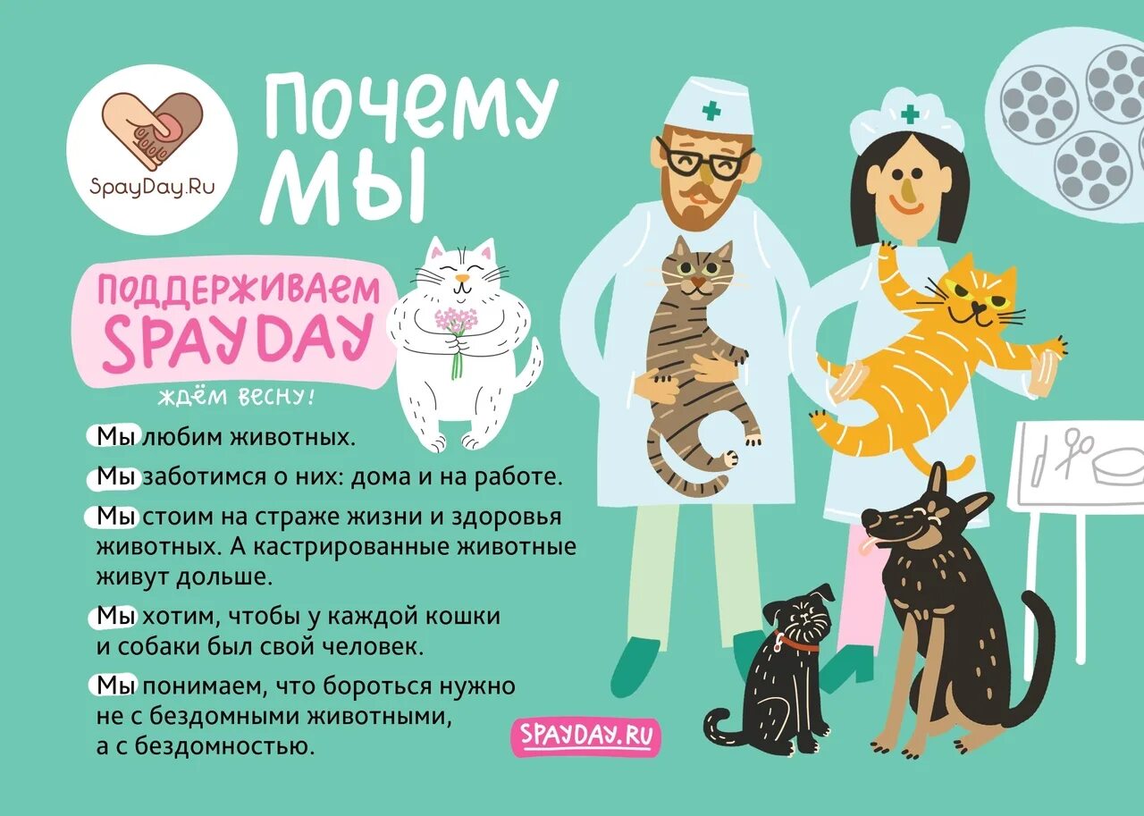 День кастрации 2024. Льготная стерилизация кошек. День стерилизации животных. Всемирный день стерилизации домашних животных 23 февраля. День стерилизации животных.