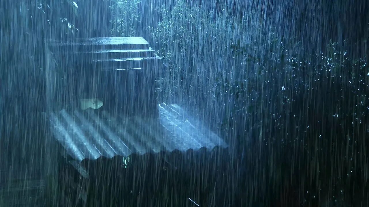 10 00 00 дождь. Дождь. Природа дождь. Дождь ночью. Ночной дождь Тарковский.