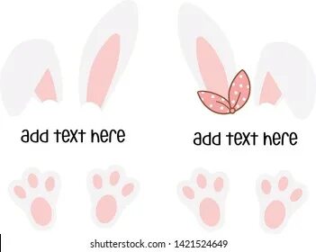 Bunny foot