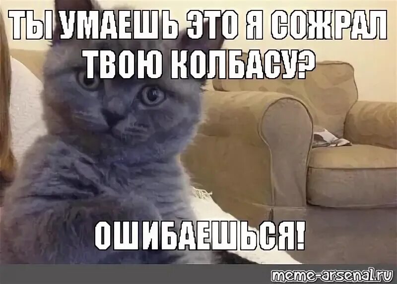 Ошибся но где мем. Мем с котом это я и это я. лена дебил кот. туть мем кот.