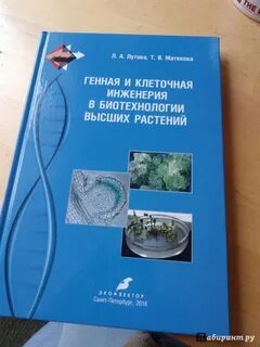 Биотехнология учебник