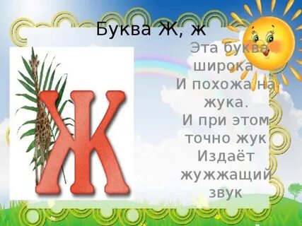 Органы на букву ж