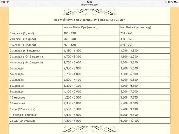 Вес котенка в 2. Вес котенка Мейн куна по месяцам таблица. Норма веса Мейн куна в 4 месяца. Вес котенка Мейн куна в 3 месяца. Вес котенка Мейн куна в 4 месяца.