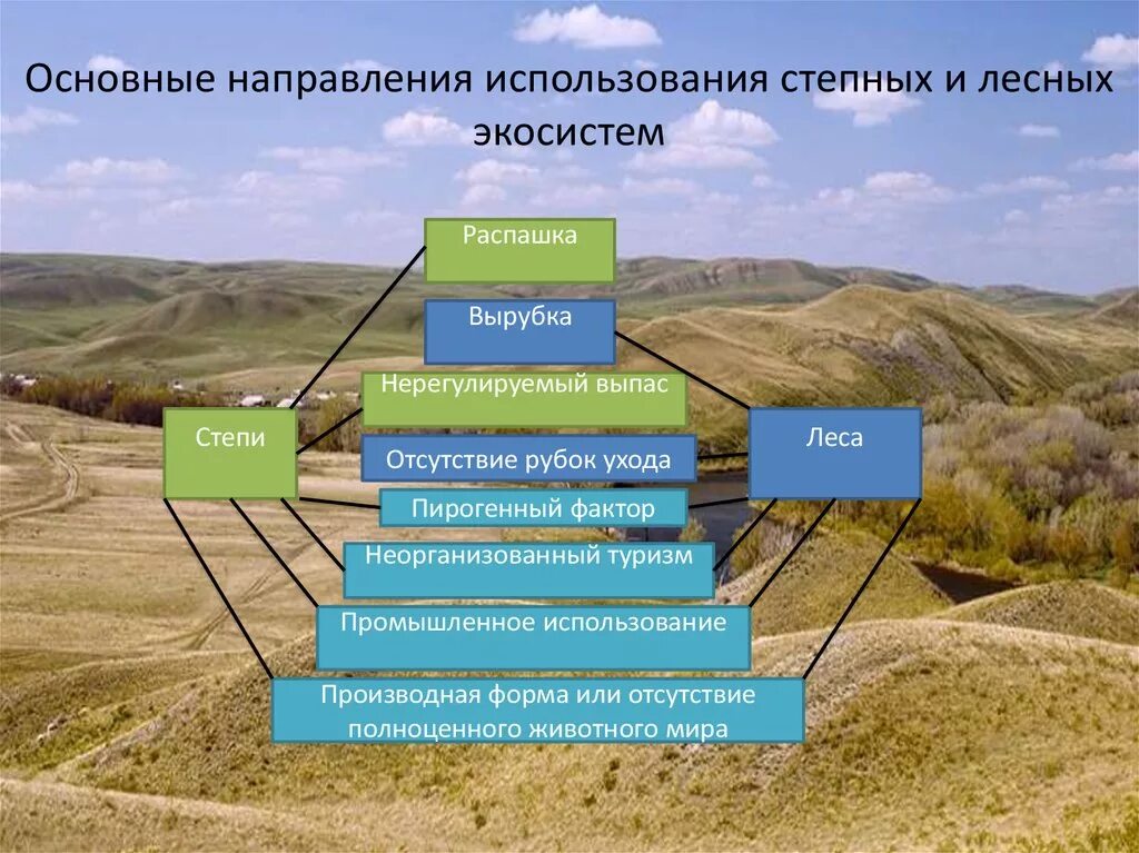 Ресурсы степи. Использование степи. Природные ресурсы степи. Использование Степной зоны человеком.