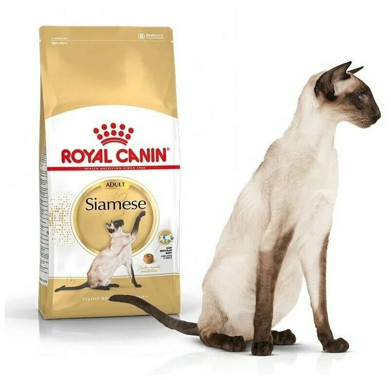 Royal canin 2. Роял канин для сиамских кошек. роял канин сиамиз. royal canin для сиамских кошек. royal canin royal canin siamese adult для взрослых сиамских кошек (2 + 2 кг).