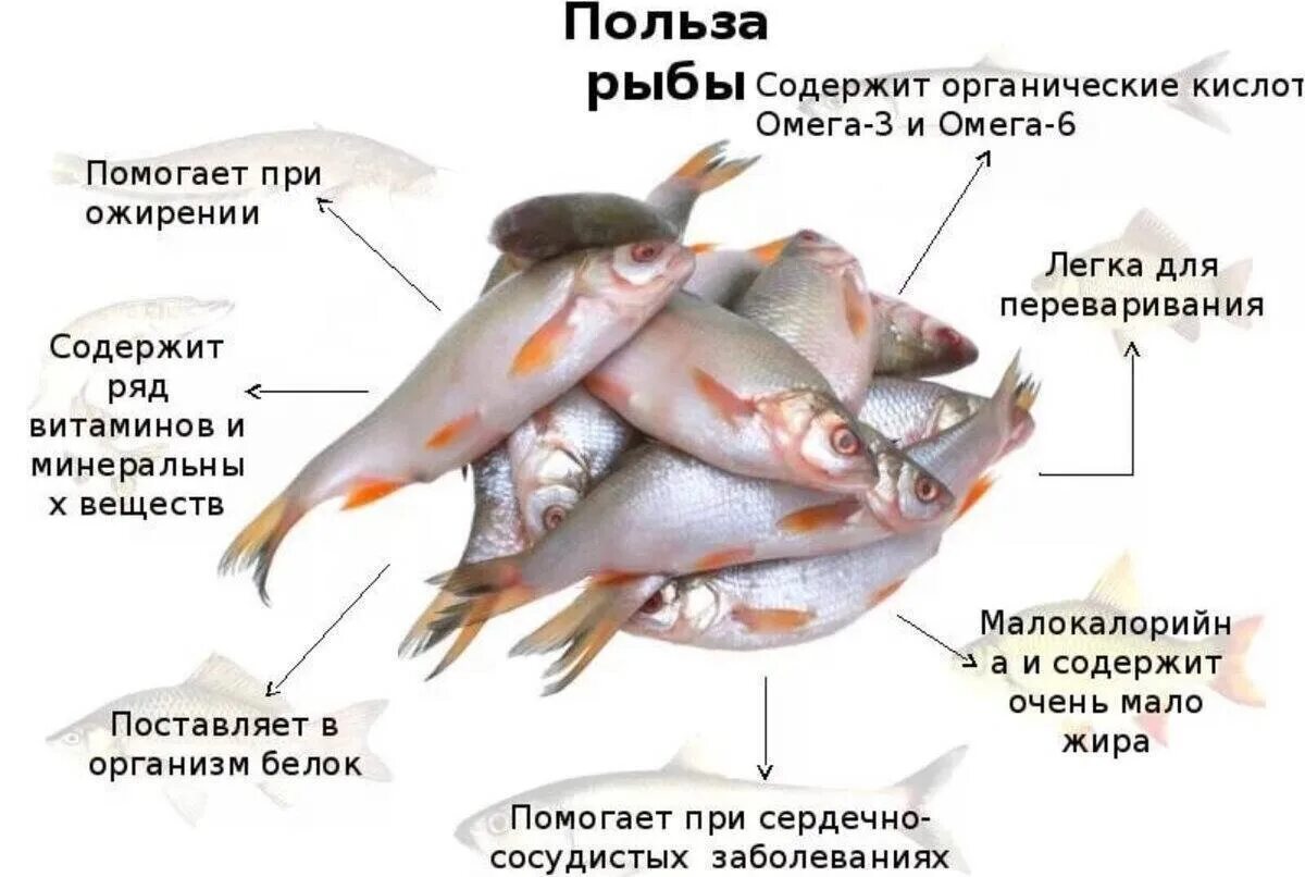Какая женщина нужна рыбам. Полезные рыбы для организма. Польза рыбы. Полезные вещества в рыбе. Полезные качества рыбы.