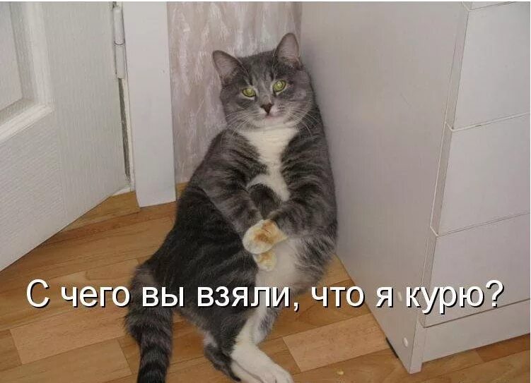 Выйдешь из дома съем