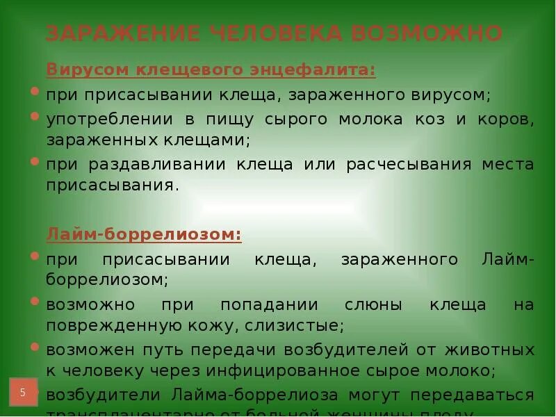 Заражение человека клещевым энцефалитом возможно при. Заражение клещевым энцефалитом возможно при ГИГТЕСТ. Заражение человека клещевым энцефалитом возможно при употреблении. Человек может заразиться клещевым энцефалитом путями. Заразиться вирусом а можно ответ гигтест