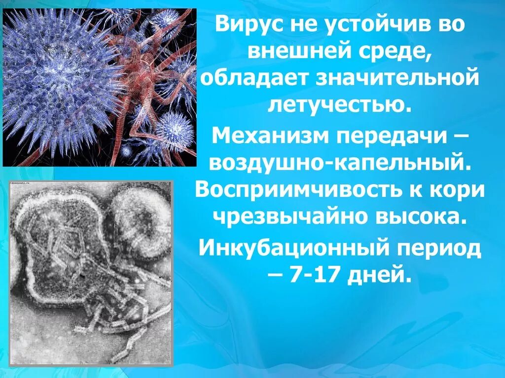 Вирус передача информации. Механизм передачи вируса кори. вирус кори высоко устойчив во внешней среде. презентация на тему вирус кори. вирус устойчив в внешней среде.