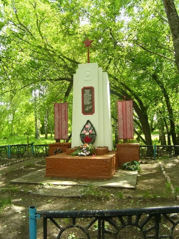 Сухая терешка ульяновская. Село сухая терешка ульяновской области. сухая терешка ульяновской области деревня. с сухая терешка николаевского р-на ульяновской обл. николаевская область скобелево памятник воинам землякам.