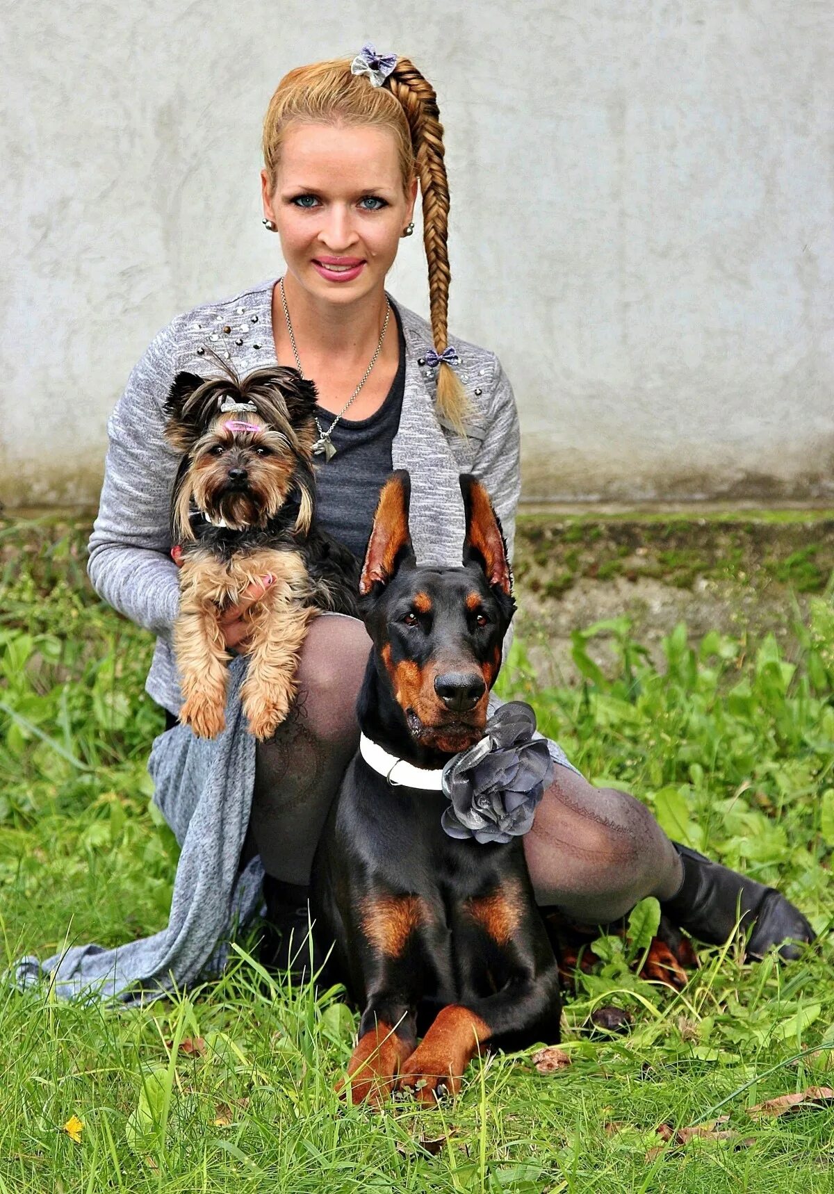 Йоркширский Доберман. Женщина с собакой. Женственная собака. Доберман и Йоркширский терьер.