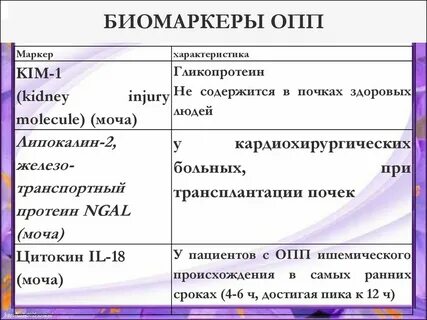 Почечный маркер