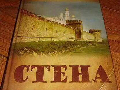 Читать книгу мединского стена