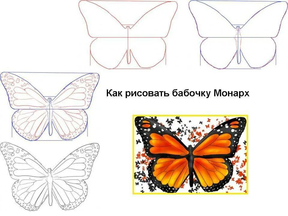 Пошаговый рисунок бабочки. Бабочка пошагово для детей. Поэтапное рисование бабочки. Бабочка поэтапное рисование для детей. Пошашаговое рисование для детей.