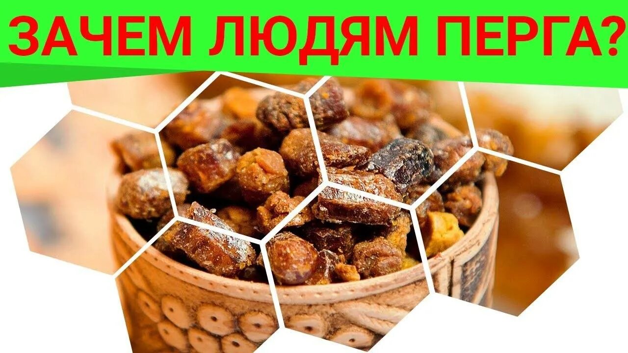 Перга для человека. Перга. перга пчелиная. перга пчелиная полезные. перга пчелиная для человека.