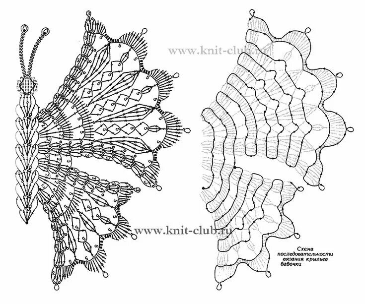 Pin on Uncinetto casa in 2025 Crochet butterfly, Crochet feather, Cozy crochet p