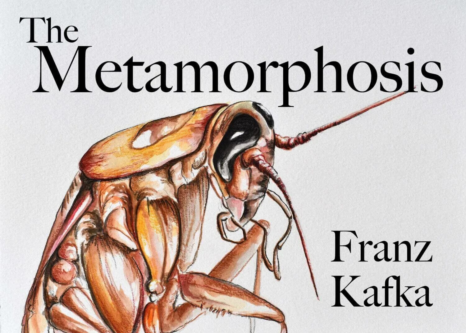 Аудиокнига метаморфозы. Кафка метаморфозы. Franz Kafka Metamorphosis. The Metamorphosis Кафка.