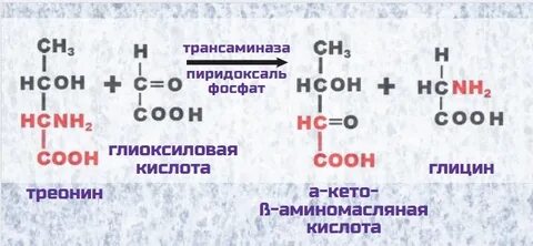 Синтез глицина