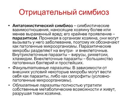 Роль симбиотических бактерий