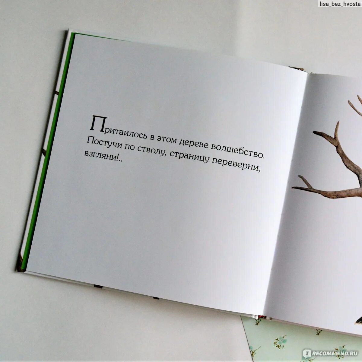 Переверни страницу 2. Живое дерево книга. Кристи Матесон живое дерево. Перевернуть страницу цитата. Цитата переверни страницу.