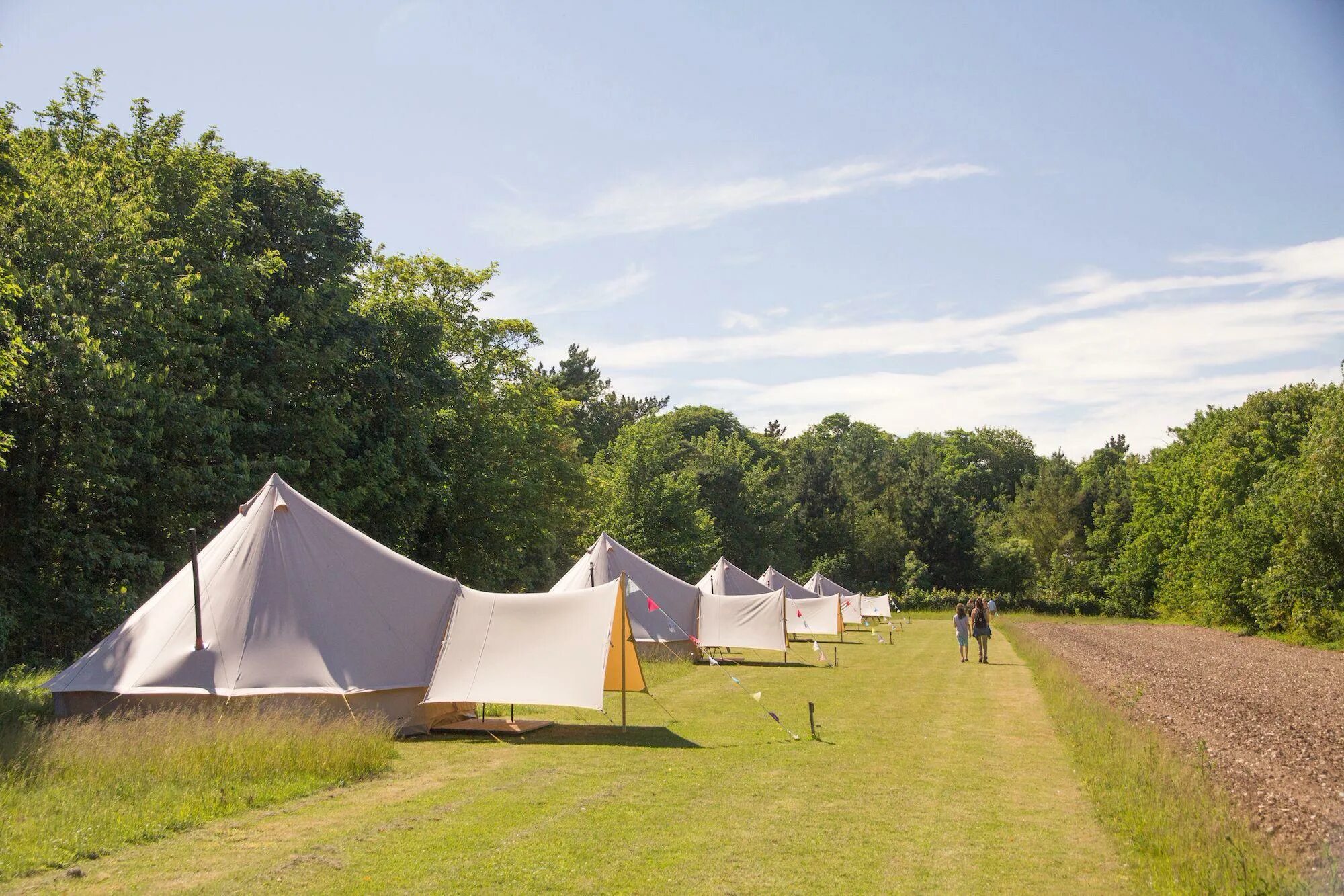Wild camp. Глэмпинг в поле. Палатка из ткани. Кемпинг в поле. Ткань палатка.