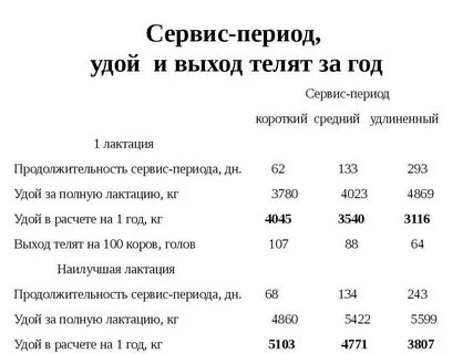 Сервис период