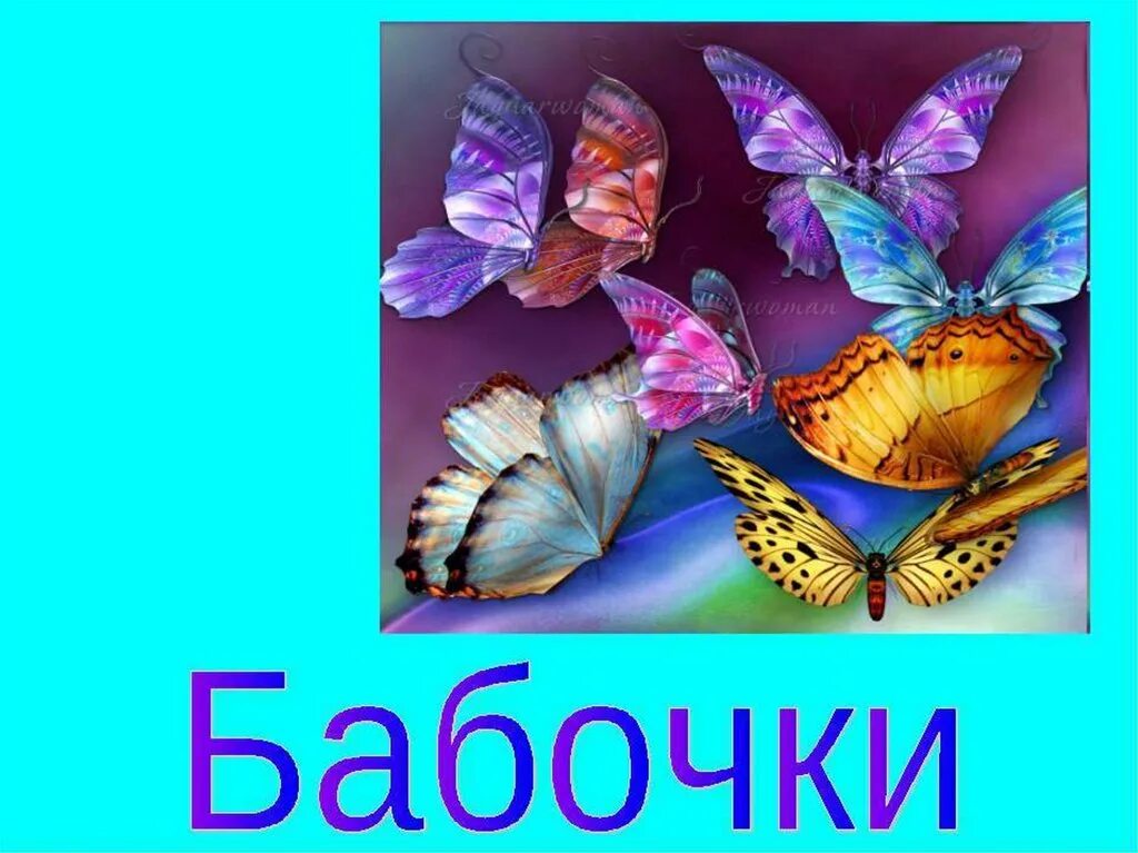 Бабочка составить слова. Бабочки для презентации. Презентация на тему бабочки. Бабочки для презентации для детей. Презентация бабочки для дошкольников.