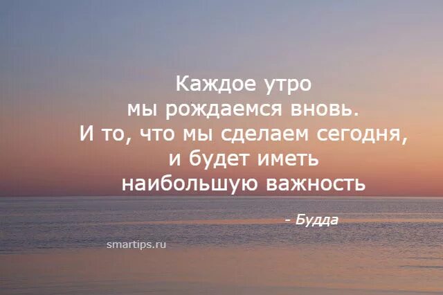 Каждое утро это появляется. Каждое утро мы рождаемся вновь. Каждое утро мы рождаемся вновь Будда. Каждое утро цитаты. Каждое утро мы рождаемся заново.